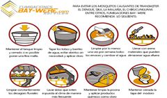 Recomendaciones para estar libres de mosquitos