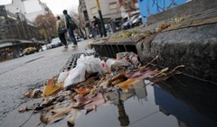 CRIADEROS DE ZANCUDOS