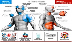 Tipos de Dengue