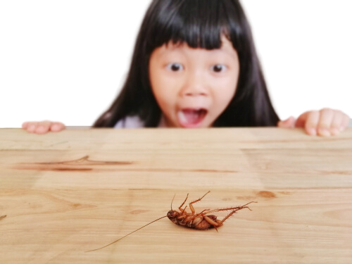 CUCARACHA CON NIÑA