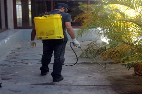 Control de plagas rastreras, cucarachas y chiripas en Caracas