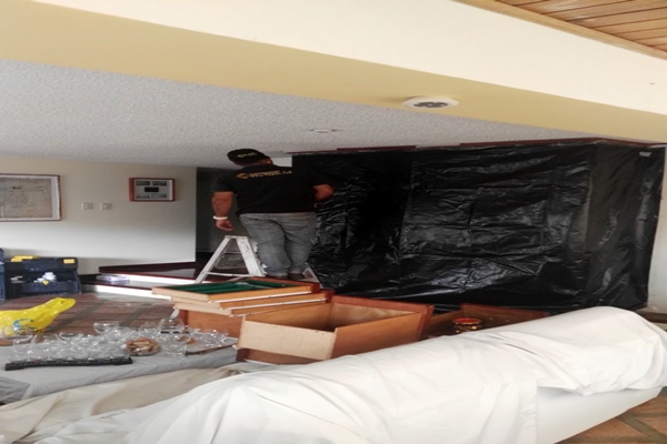 Control de termitas y comején en madera en Caracas y Miranda