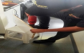 Asesoría estructural para control de plagas