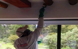 Aplicación de protectores de madera para preveir comegen