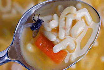 Moscas en la sopa